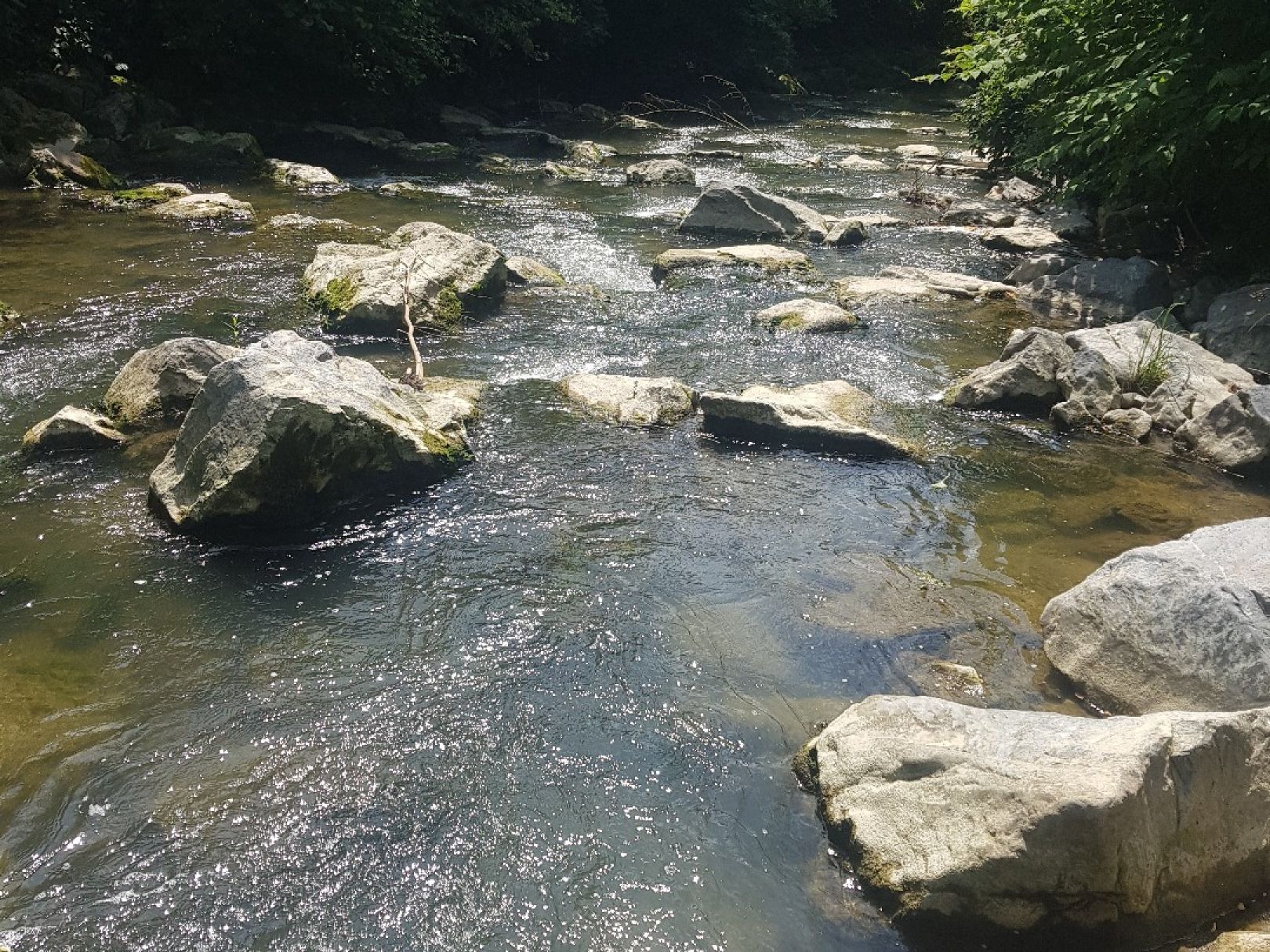 Rotach (Oberteuringen) angeln
