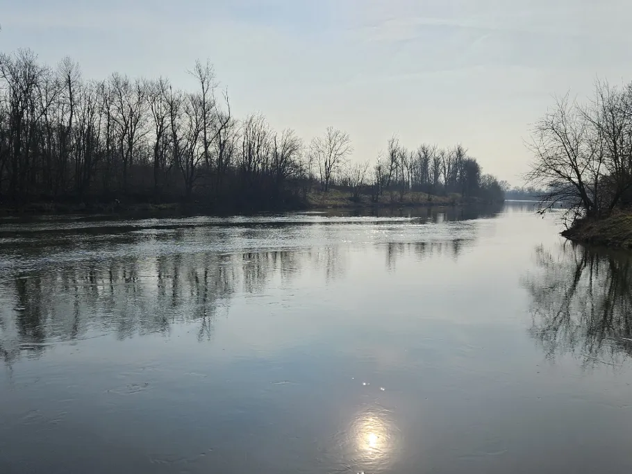 Saale (Plötzkau) angeln