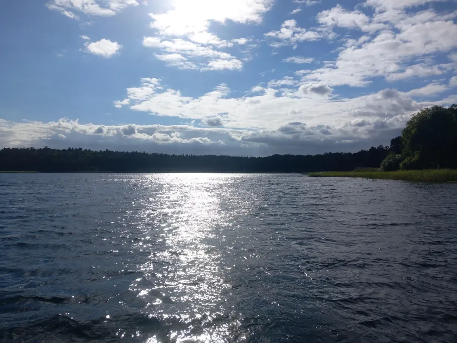 Schaalsee Seeteil Dargow angeln