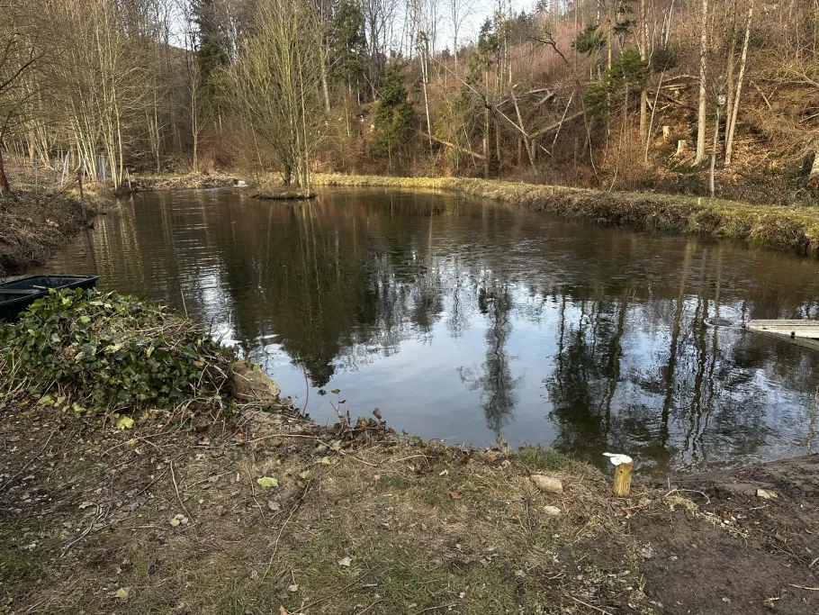 Arnsberger-Wald Forelle Angelteich (Wildshausen) angeln