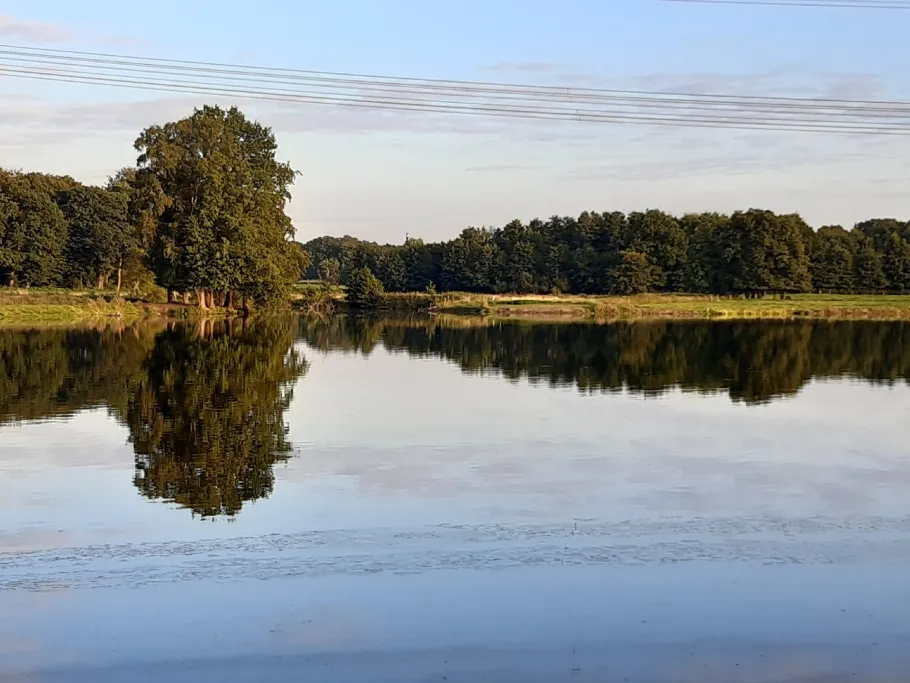 Alsensee (Moorreger Freibad) angeln
