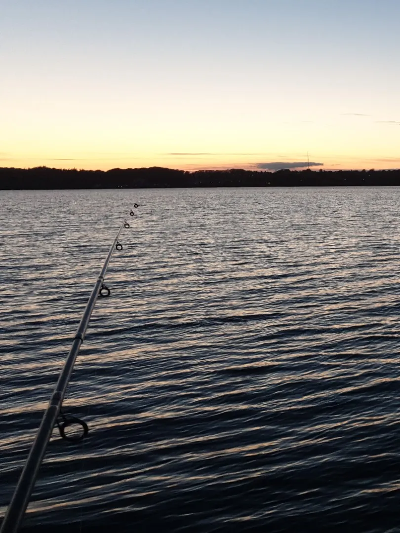 Flensburger Förde (Mürwik) angeln