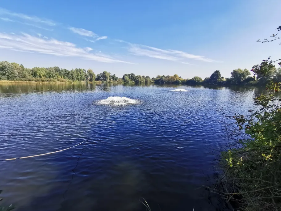 Börnchen (Bauschheim) angeln