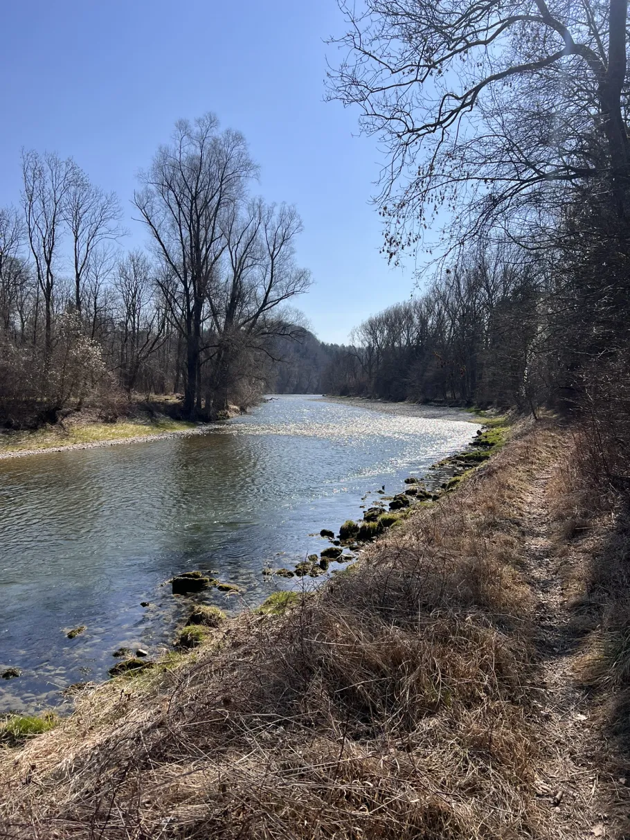 Alz (Tacherting) angeln