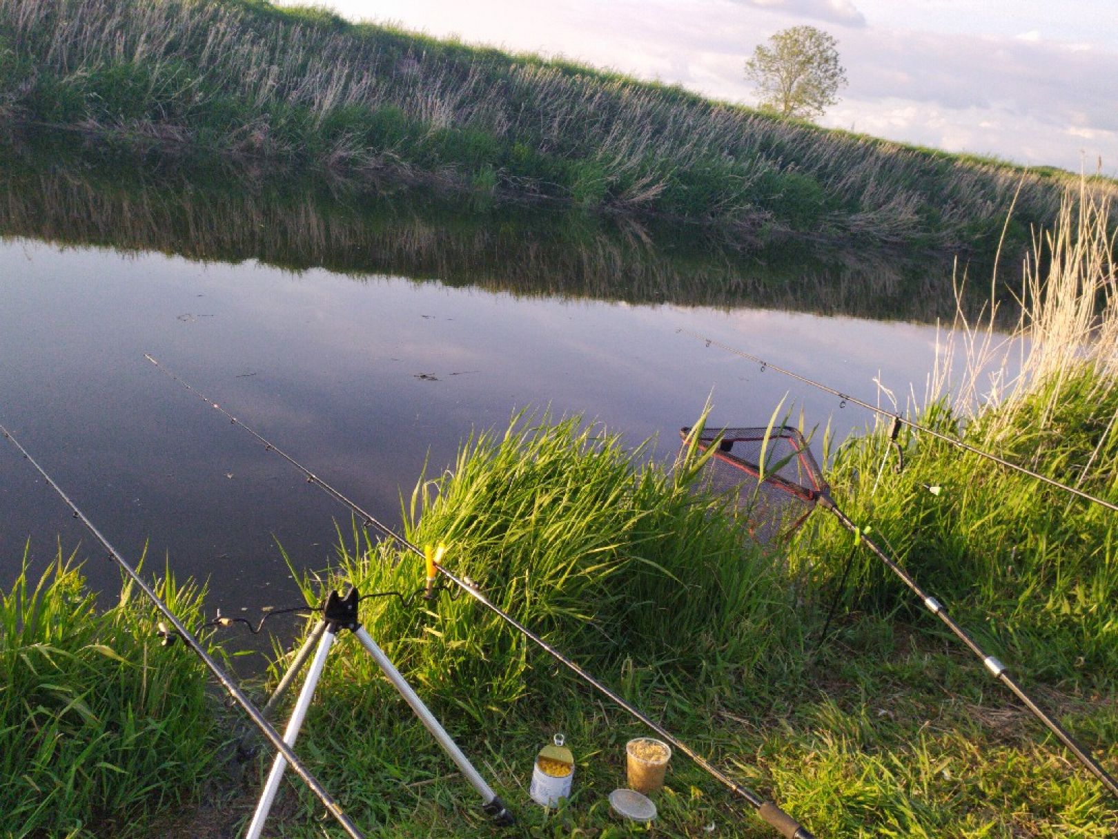 Große Wettern (Krempe) angeln