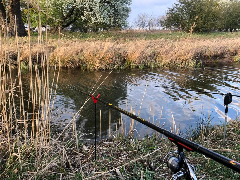Umflutkanal Plötzky angeln