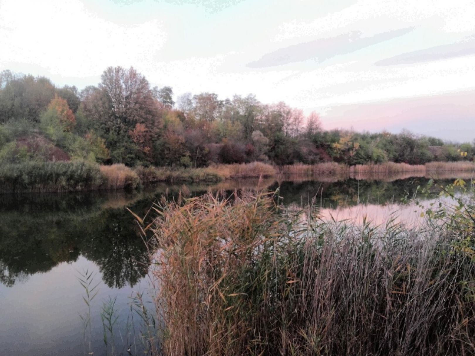 Lettenloch (Könnern) angeln