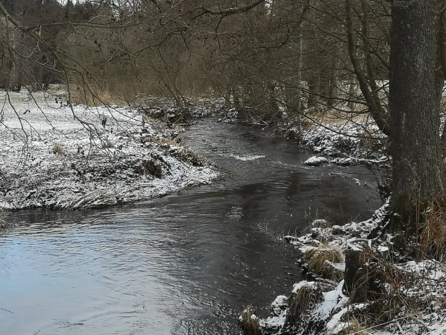 Eger (Weißenstadt) angeln