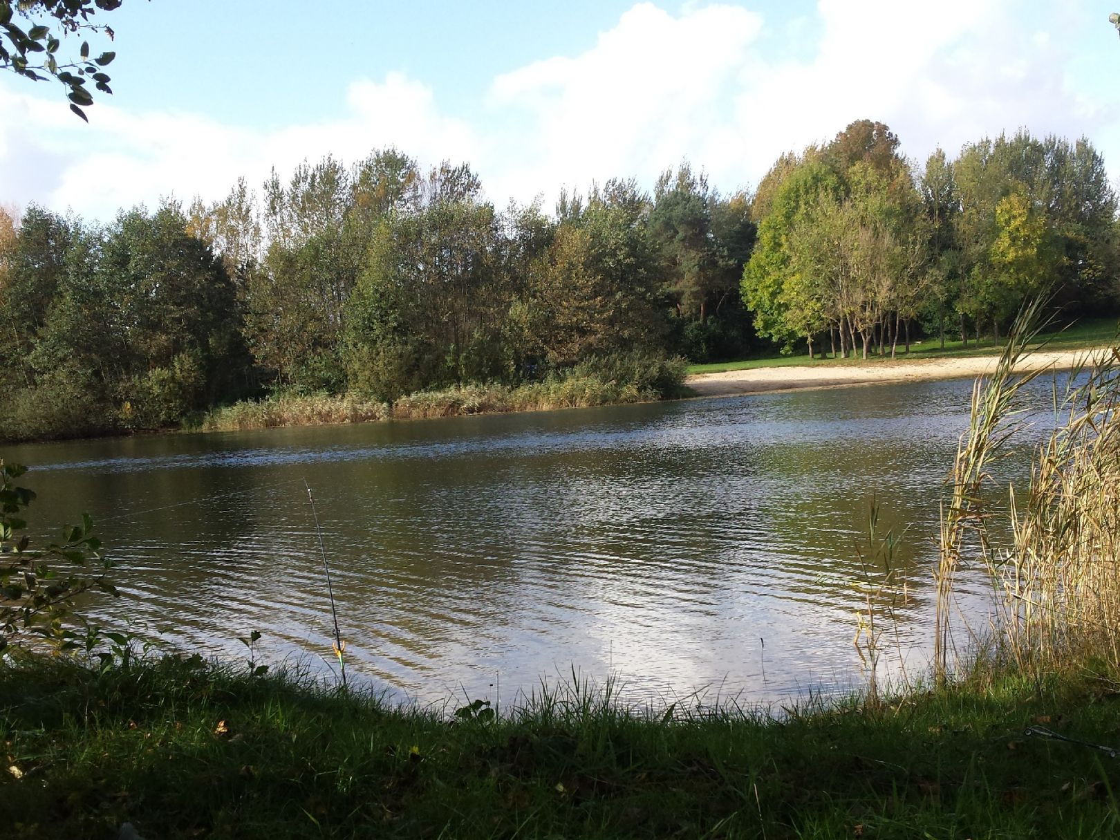 Inselsee (Scharnebeck) angeln