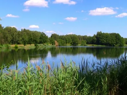Riesenfoot (Bramsche) angeln