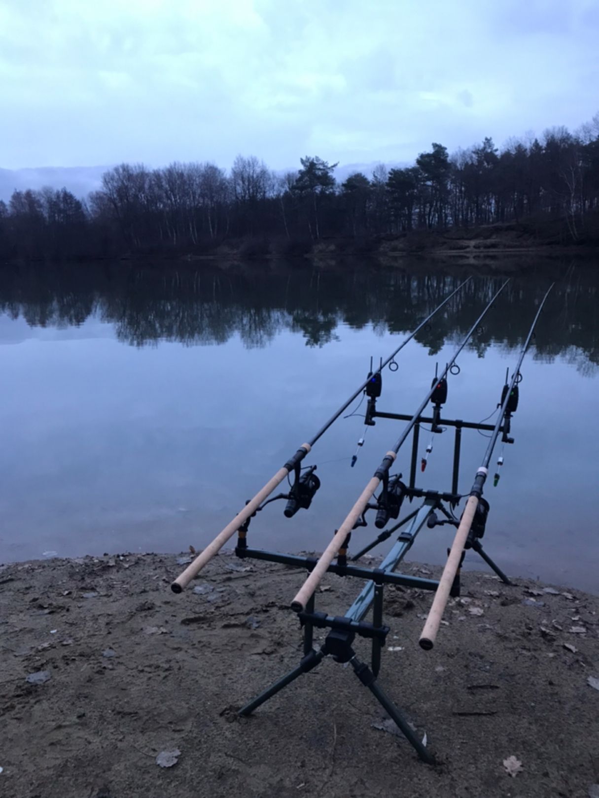 Bentheimer See (Haddorf) angeln