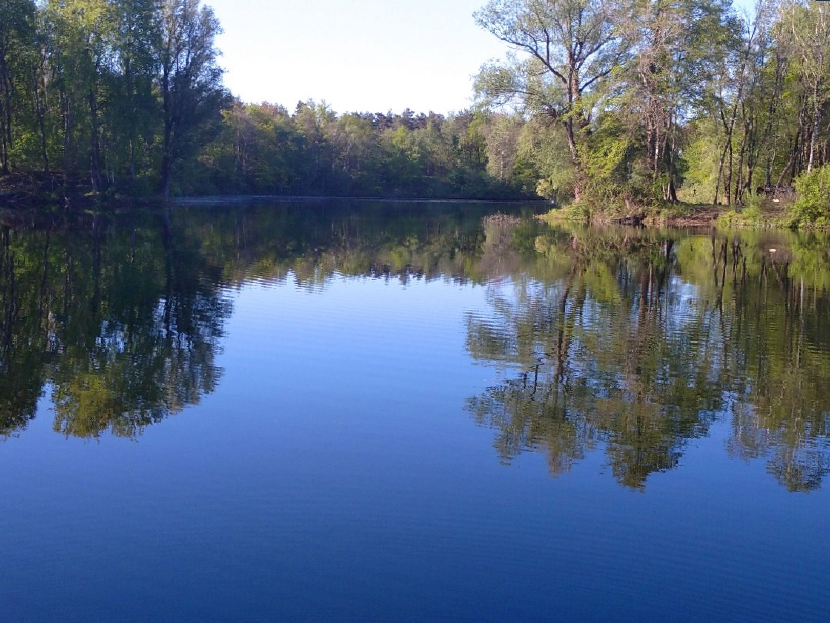 Bentheimer See (Haddorf) angeln