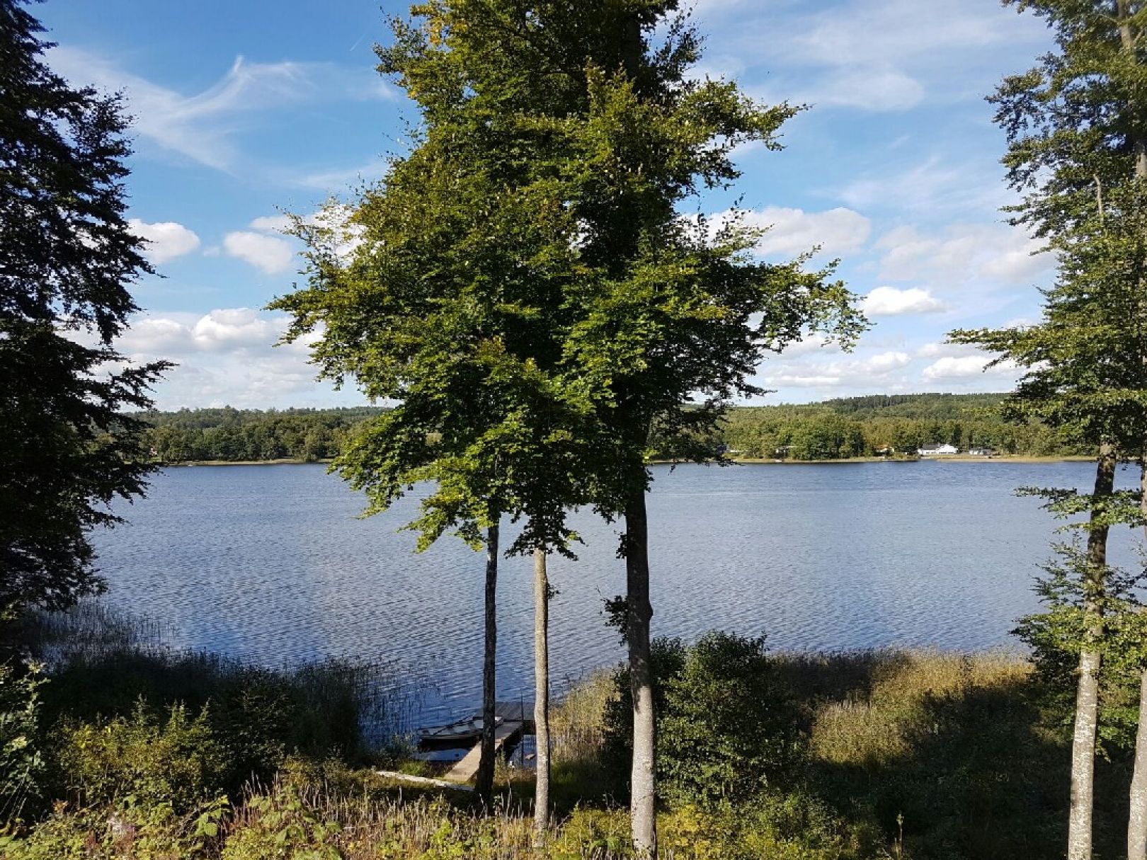 Hjälmsjön (Örkelljunga) angeln