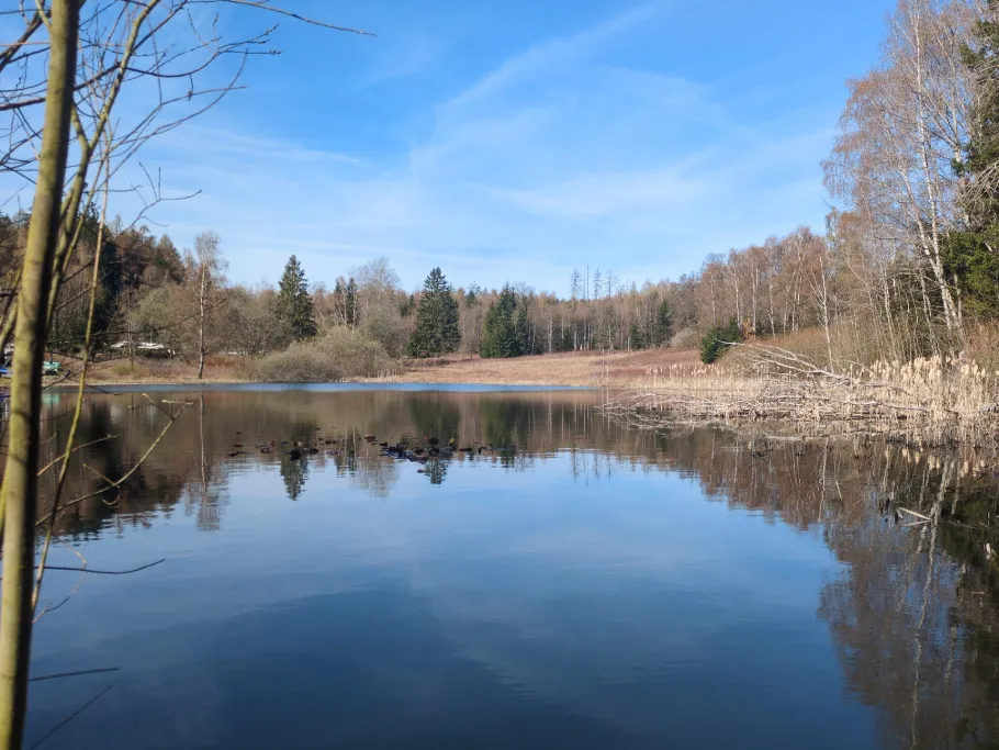 Schwimmbachteiche (Georgenthal) angeln