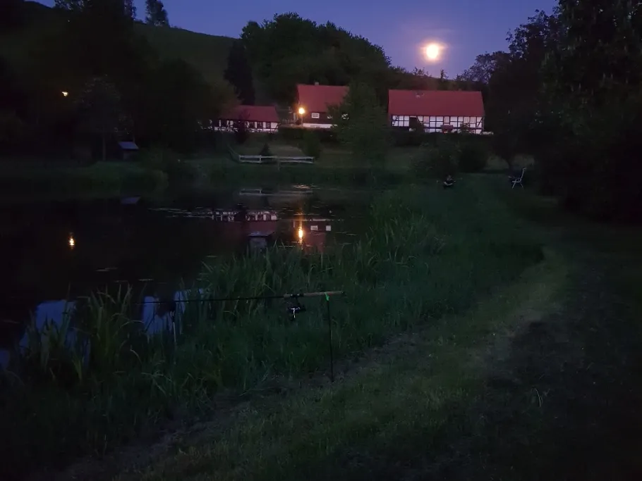 Försterteiche (Ostlutter) angeln