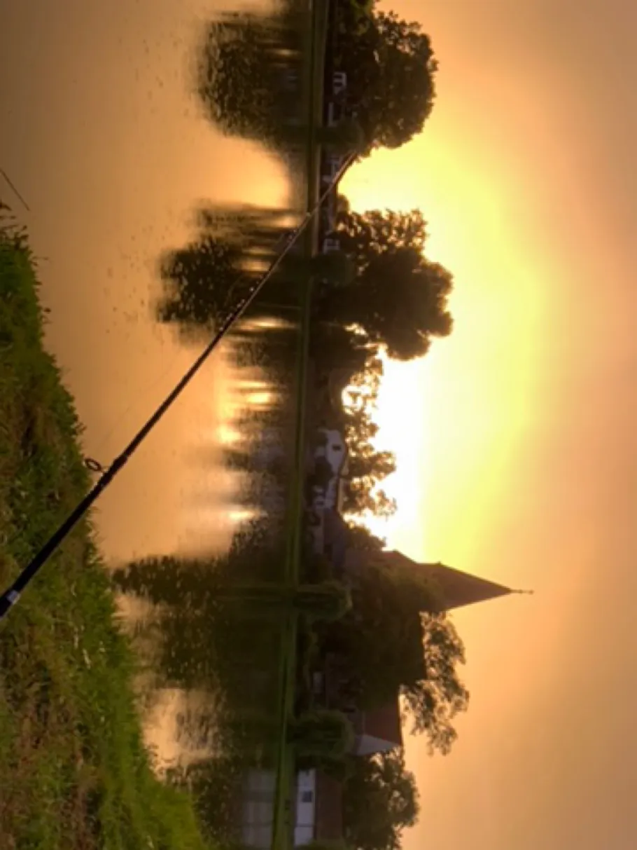 Mürower Dorfteich  angeln