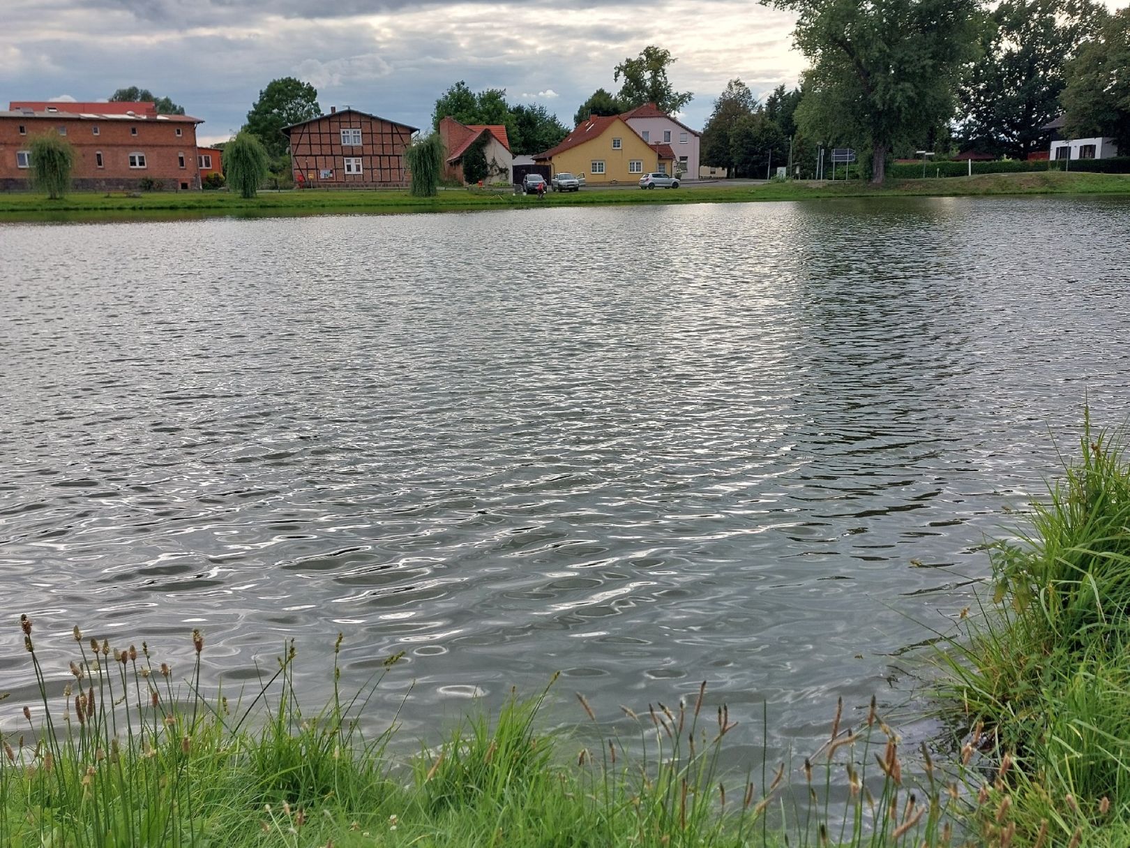 Mürower Dorfteich  angeln