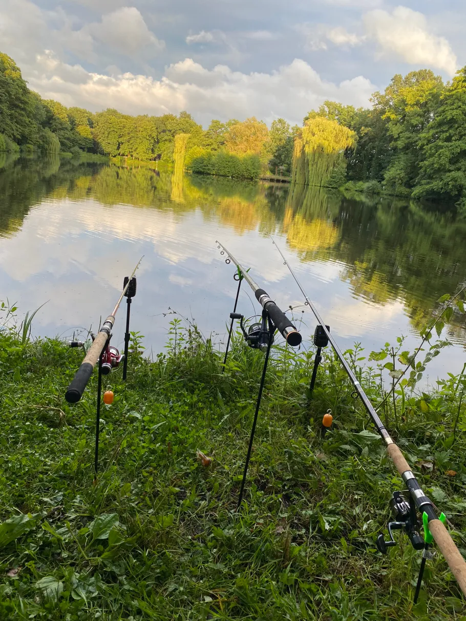 Galgenmoorsee (Cloppenburg) angeln