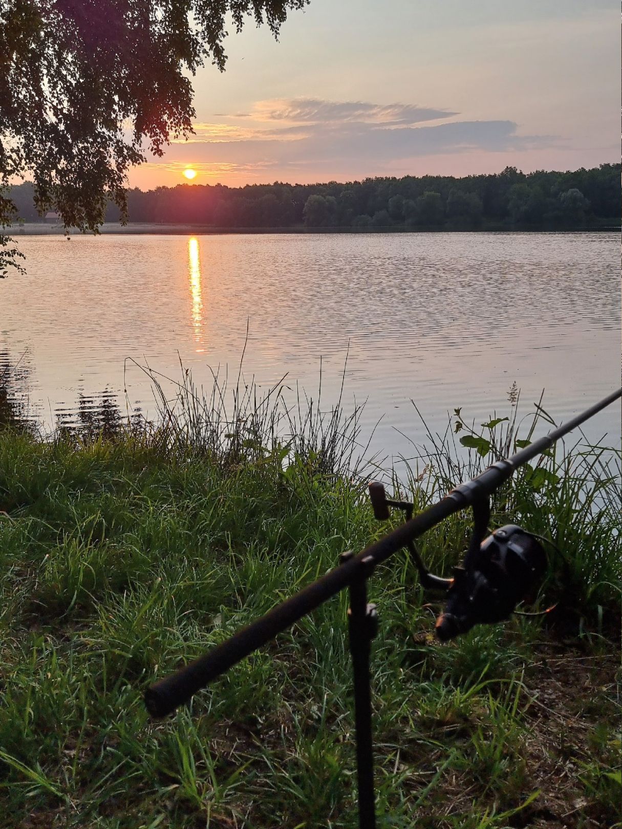 Hollener See (Saterland) angeln