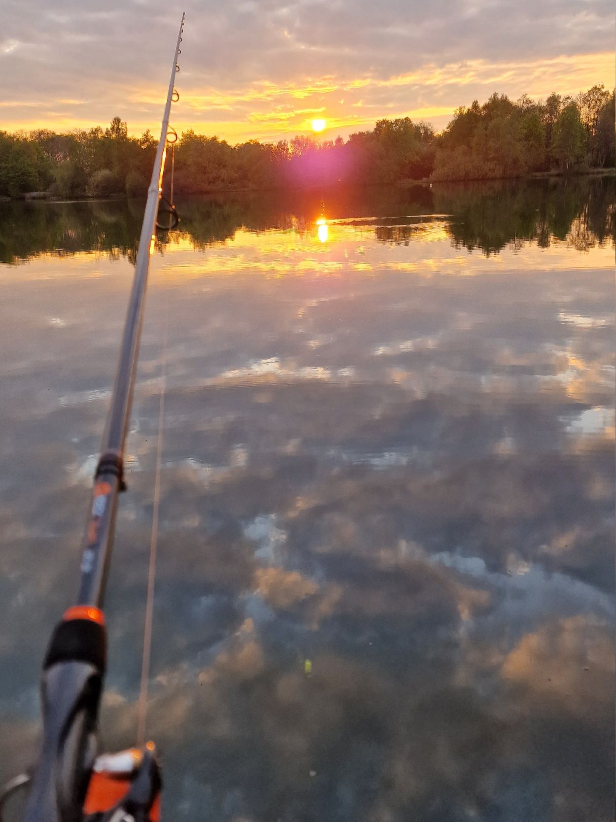 Hollener See (Saterland) angeln