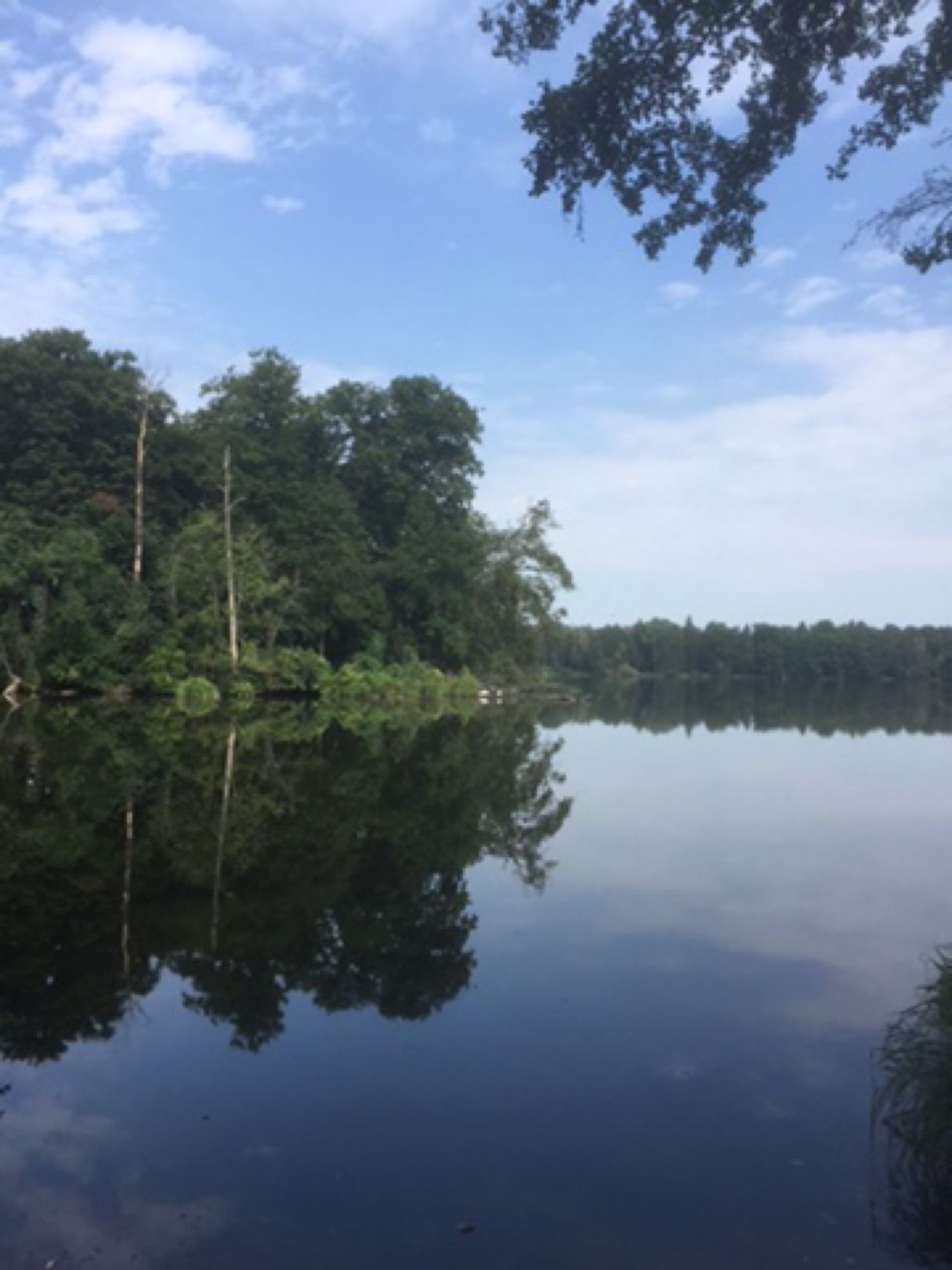 Stahnsdorfer See angeln
