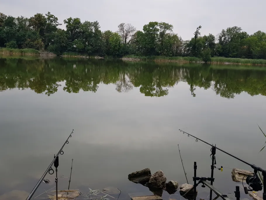Luttersee (Gröningen) angeln