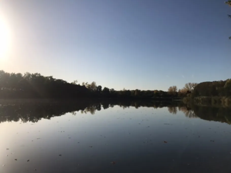 Anglersee Gernsheim angeln