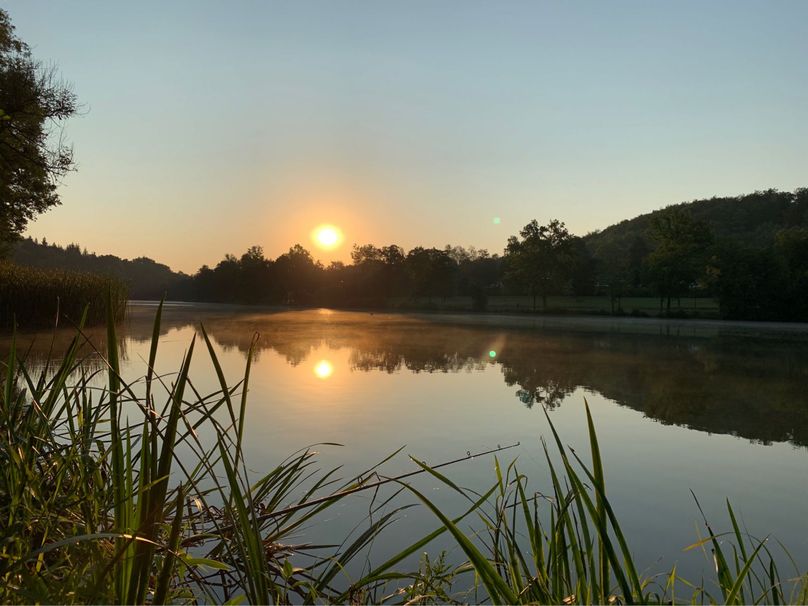 Neumühlsee angeln