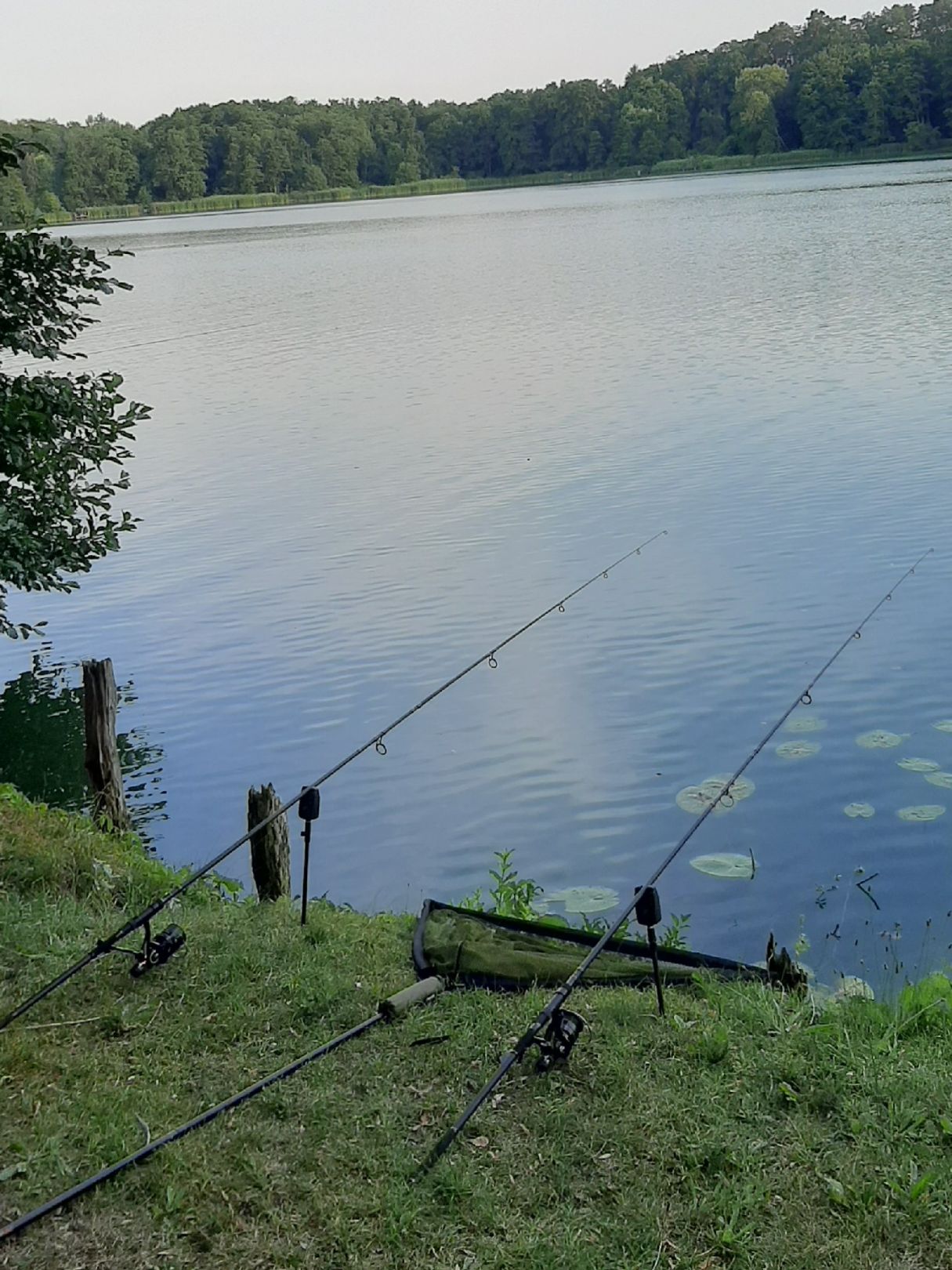 Angeln in Waldsieversdorf