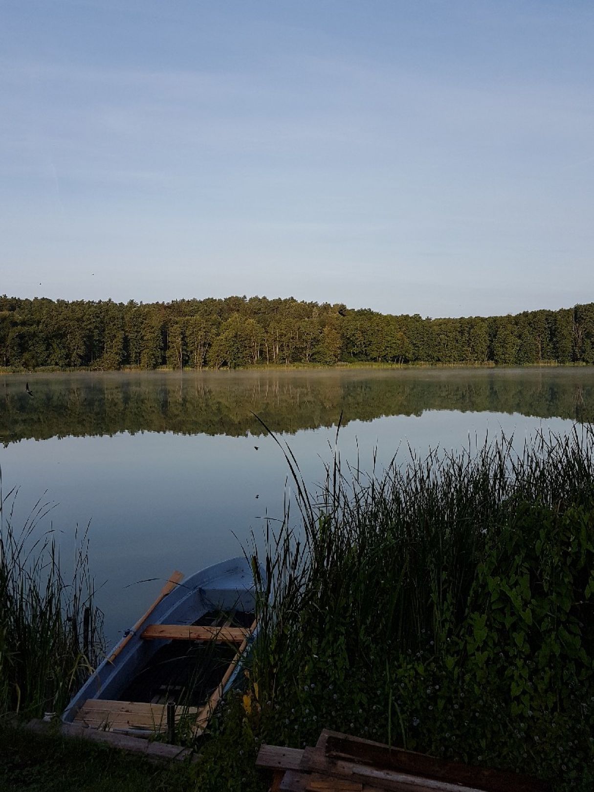Angeln in Buckow (Märkische Schweiz)