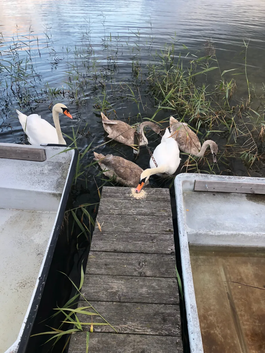 Tiefwarensee angeln