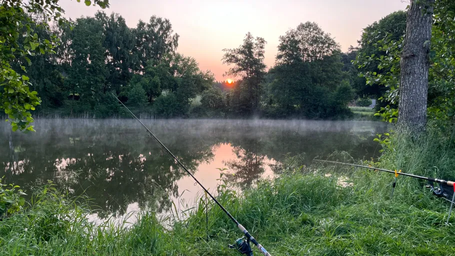 Kühweiher (Rohr in Niederbayern) angeln