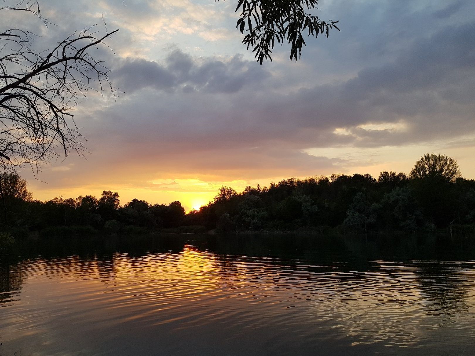 Angeln in Südliches Anhalt