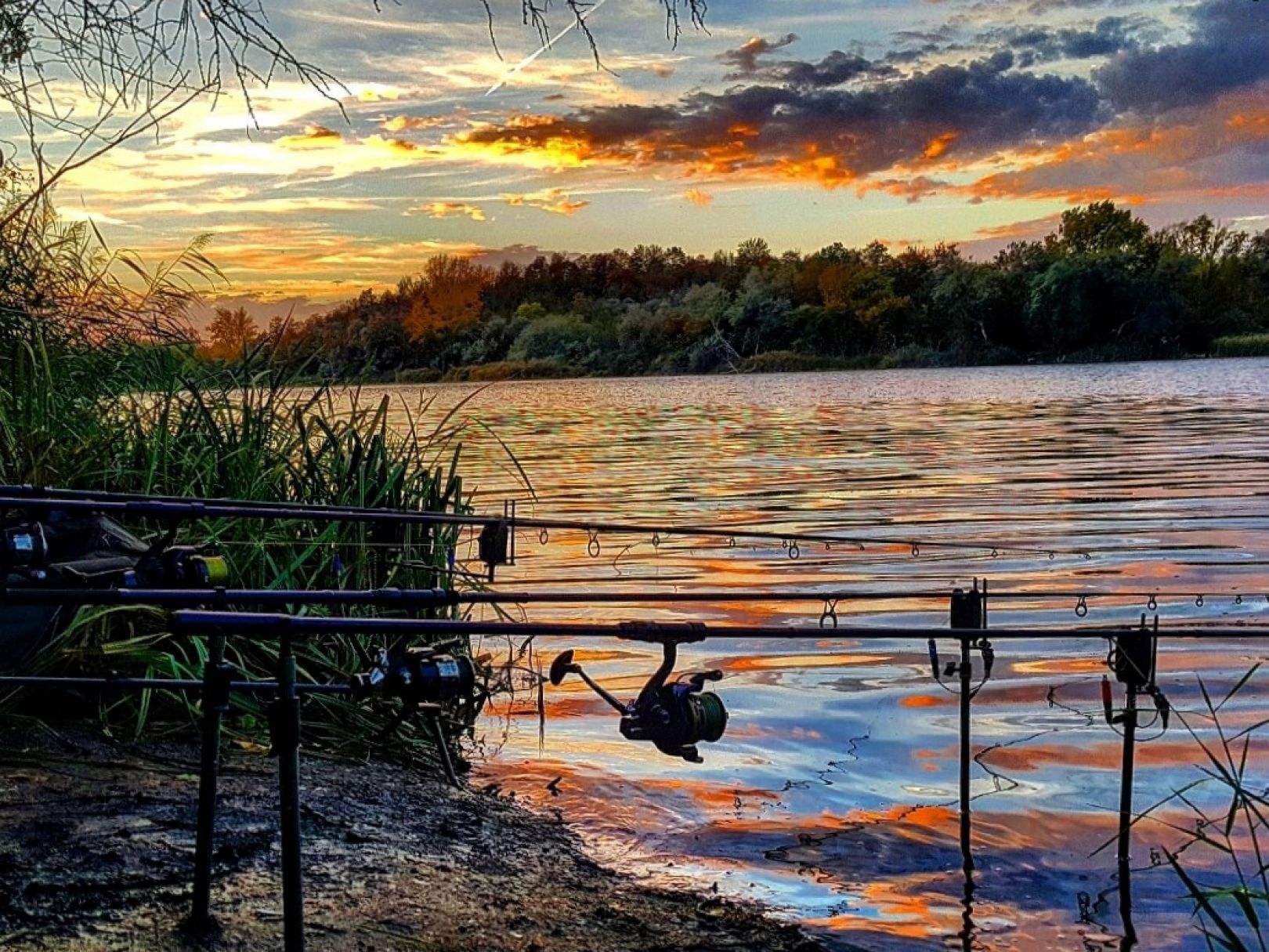 Betonwerkteich II (Gröbzig) angeln