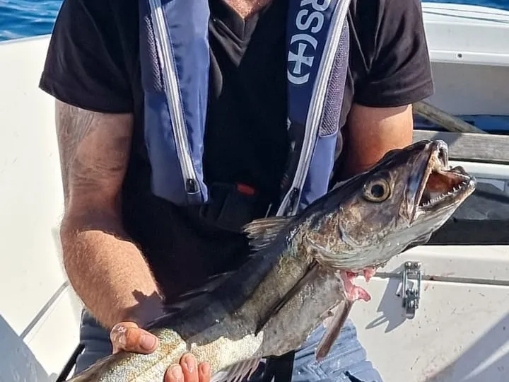 Trondheimsleia angeln