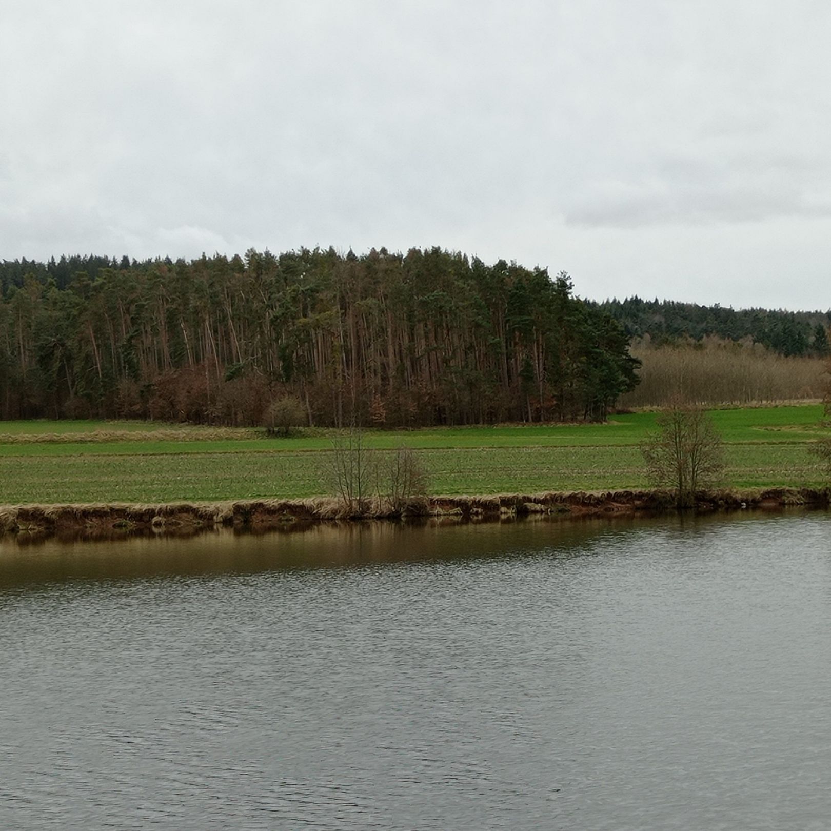 Ziegelweiher (Abenberg) angeln