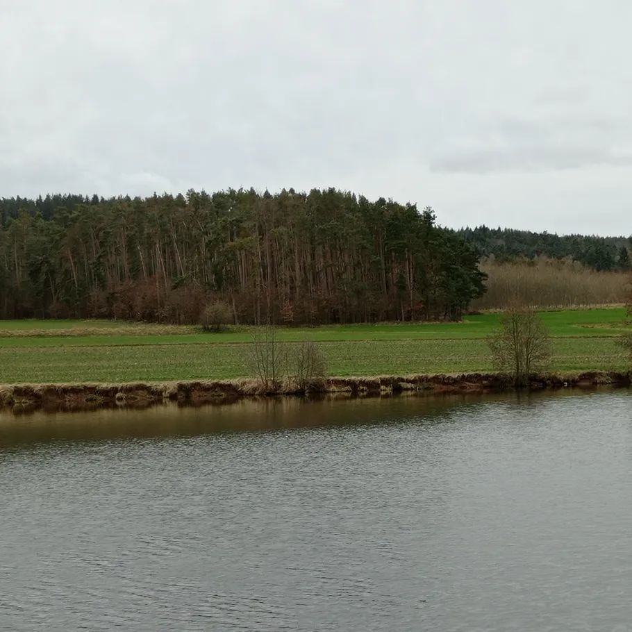 Ziegelweiher (Abenberg) angeln