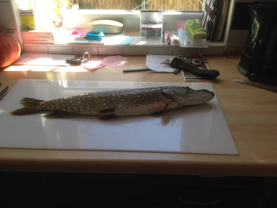 Weiheranlage Rothselberg angeln