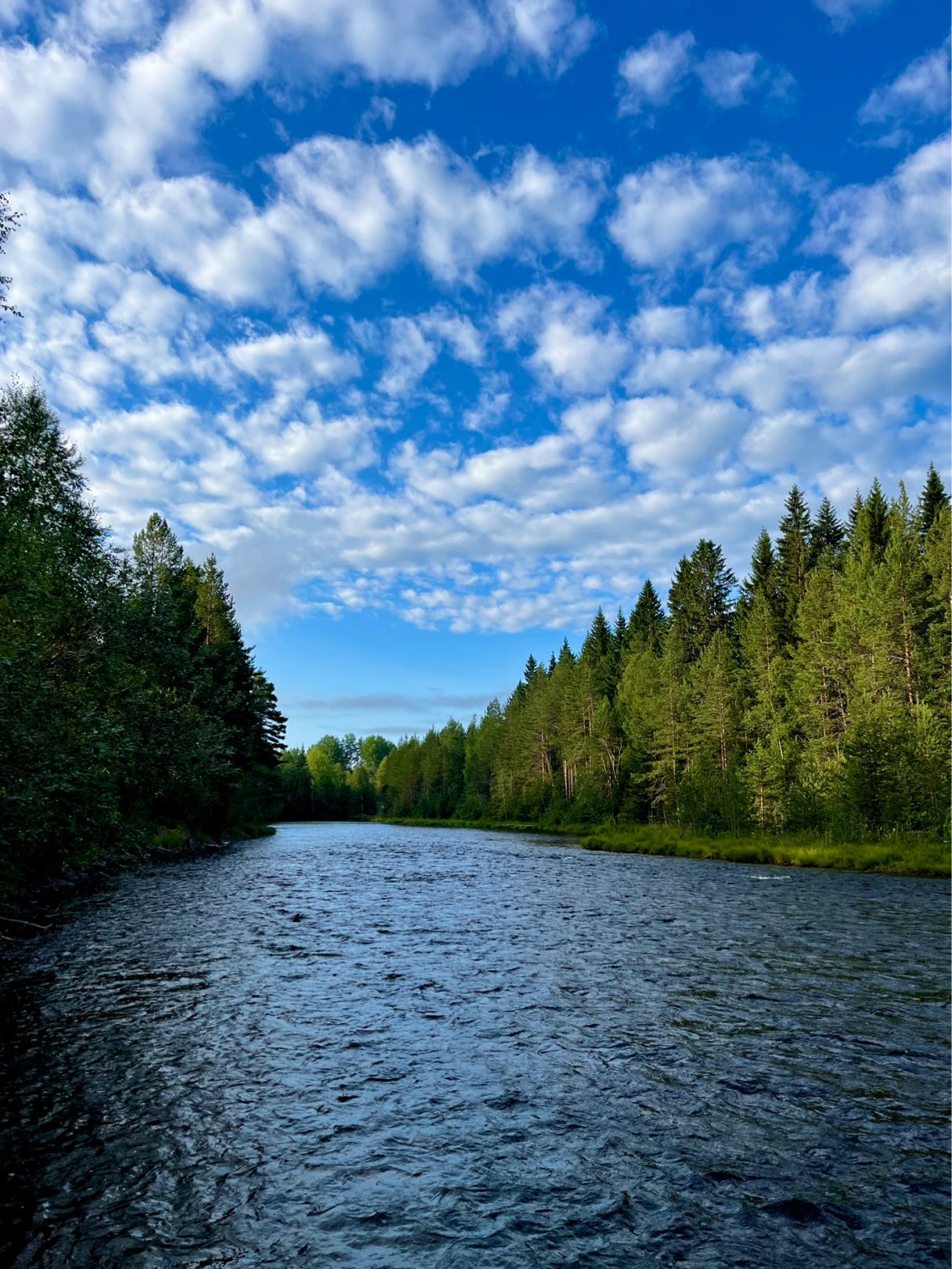Österdalälven (Älvdalen) angeln