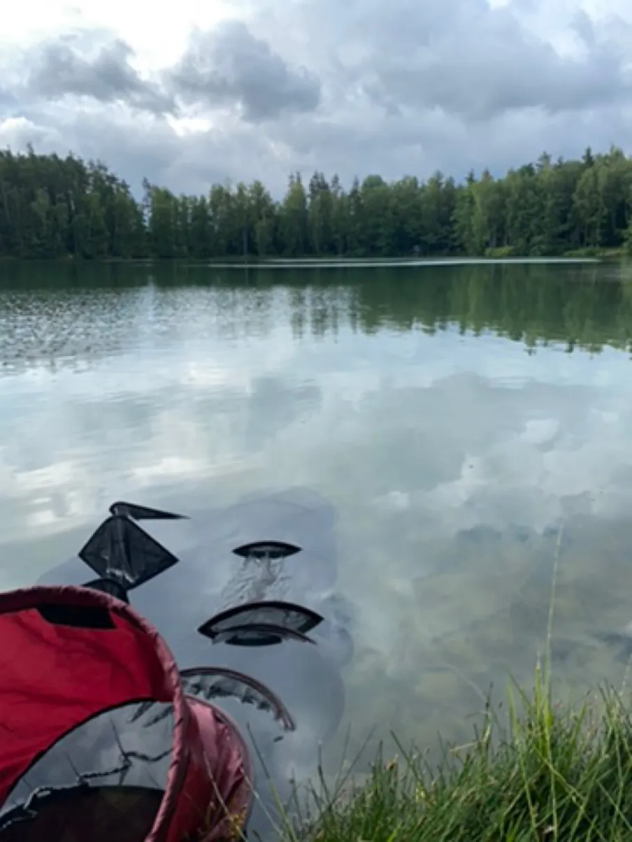 Silbersee (Wiesau) angeln