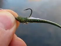 Kyritz-Teiche Alt und Jung angeln