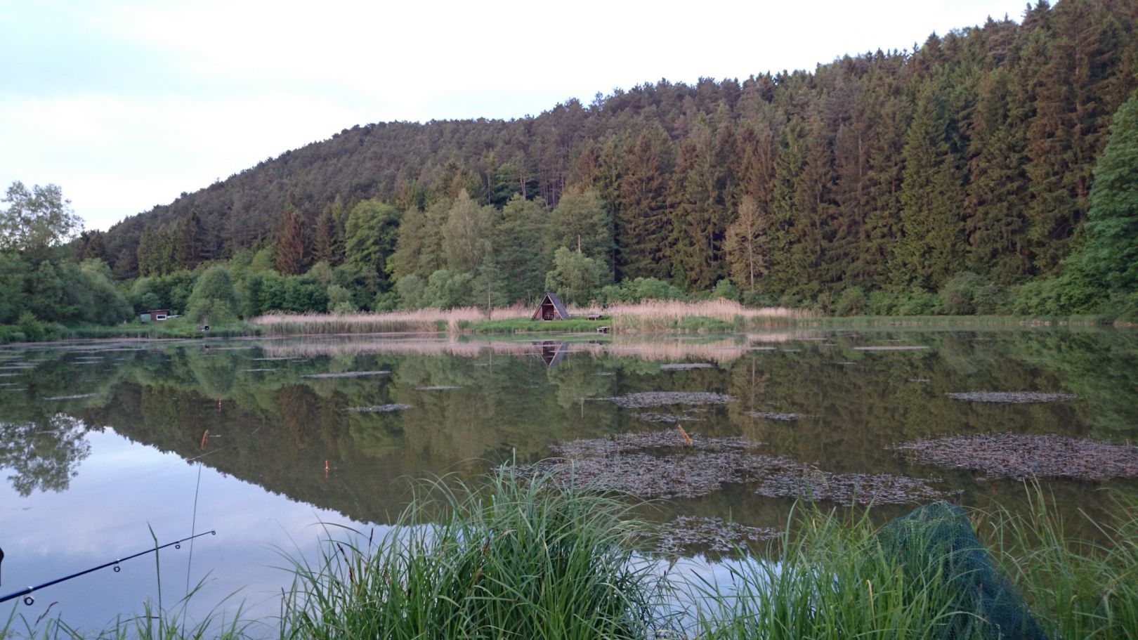 Teichanlage Edelaue angeln