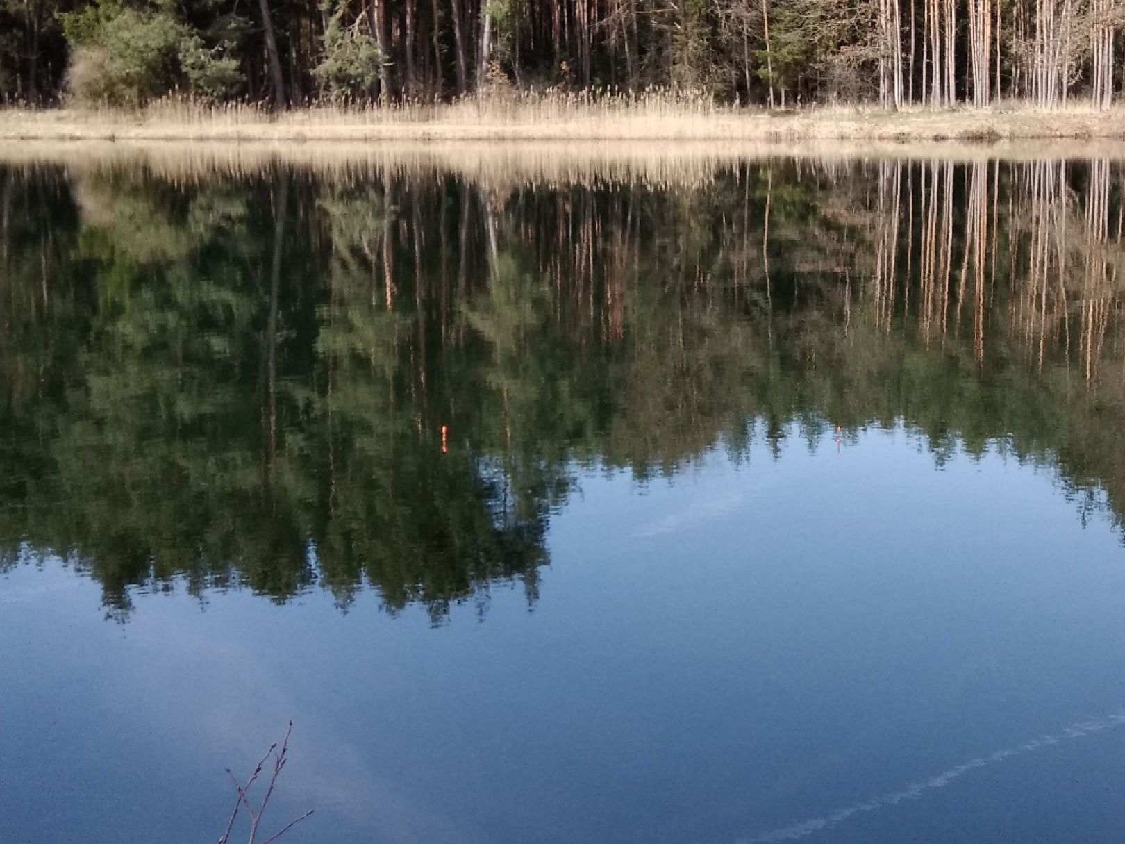 Kühbüchlsee angeln