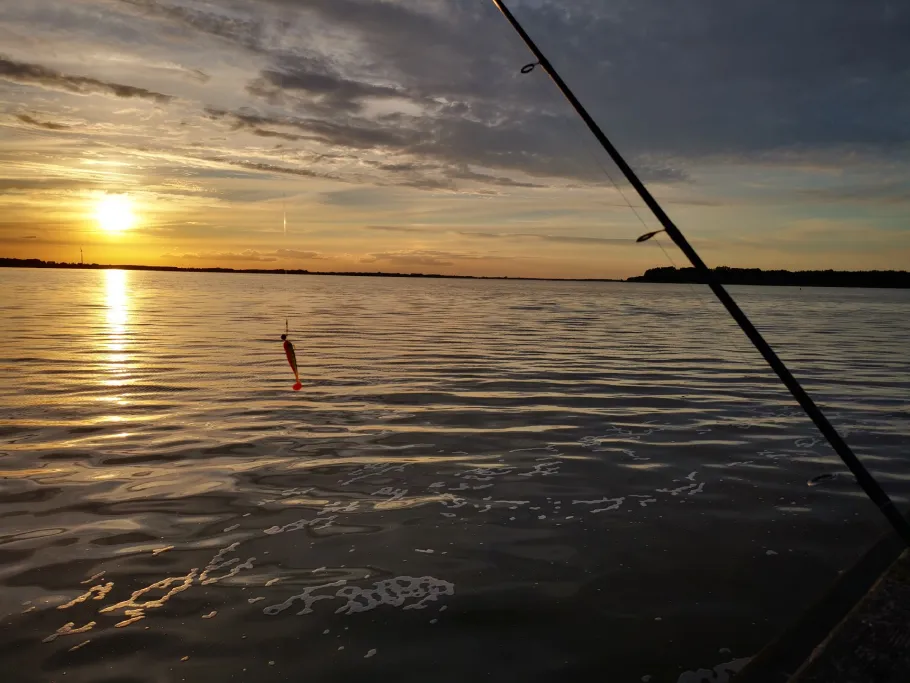 Ribnitzer See angeln
