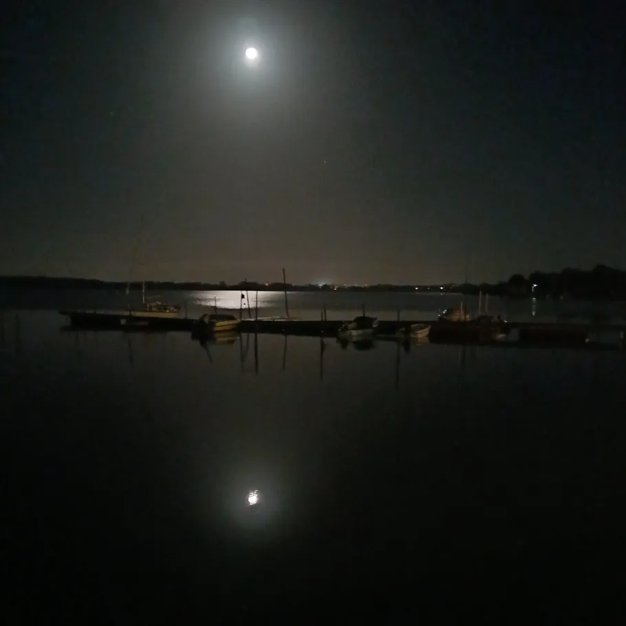 Ribnitzer See angeln