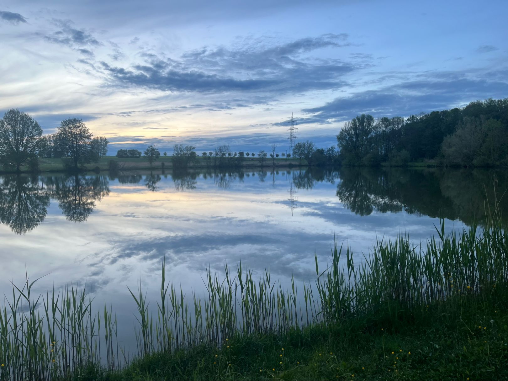 Hollenbacher See angeln
