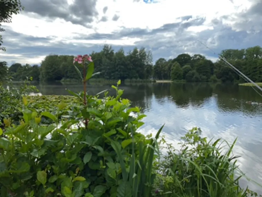 Swarte-Moor-See angeln