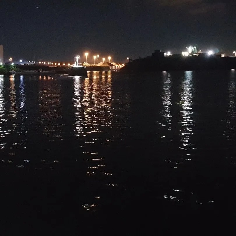 Ruhrorter Hafen (Duisburg) angeln