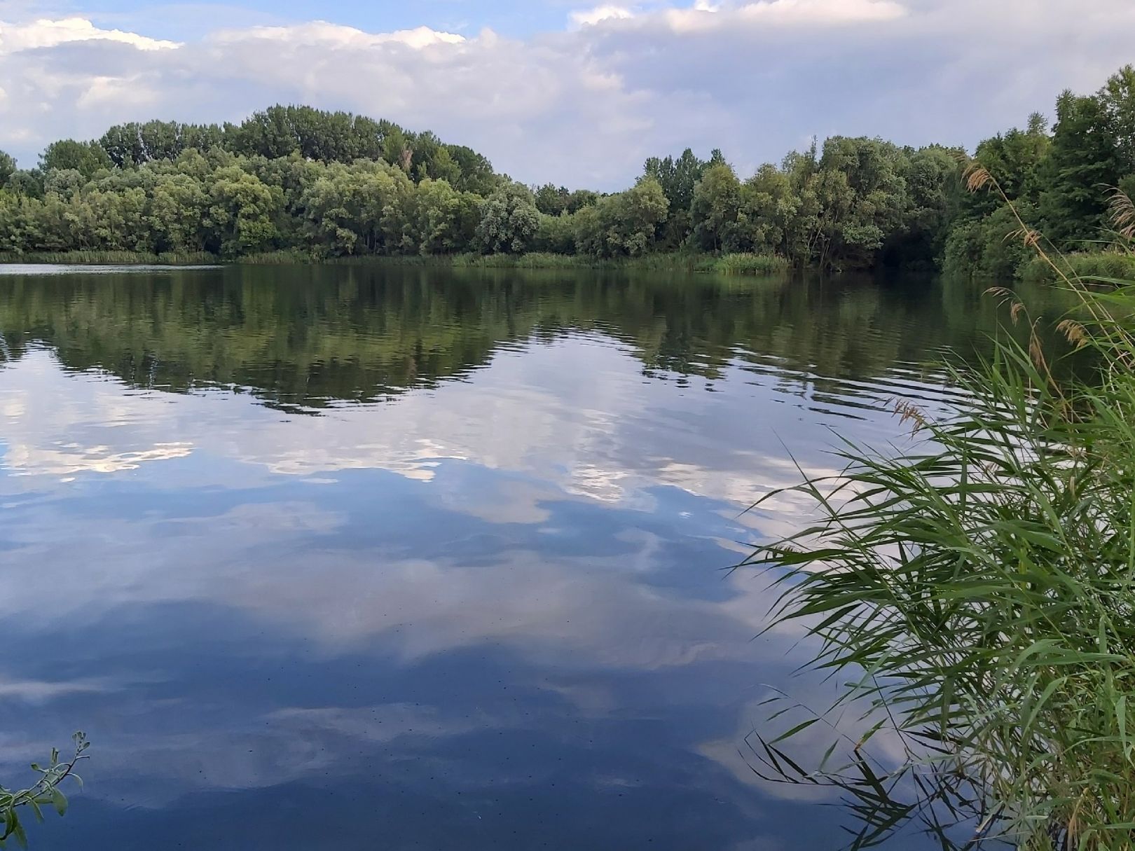 Angeln in Hedersleben