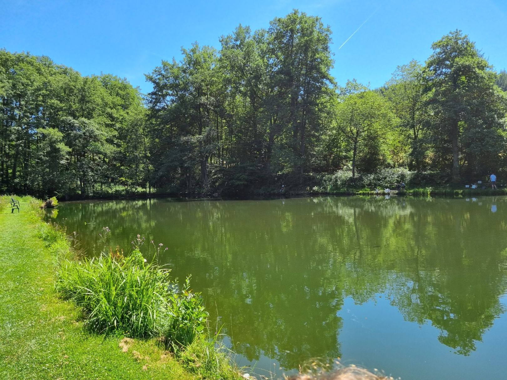 Schwarzbachweiher Biebergemünd angeln